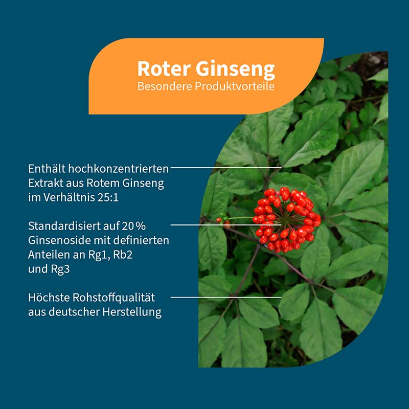 NatuGena Roter Ginseng 90 St Kapseln