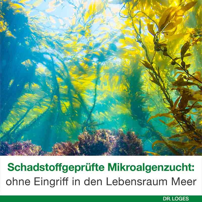 omega3-Loges pflanzlich 120 St Kapseln