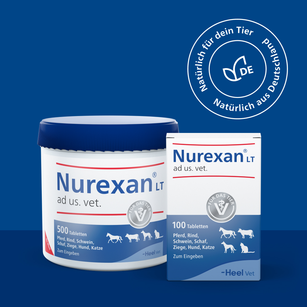 Nurexan LT ad us. vet. 500 St Tabletten