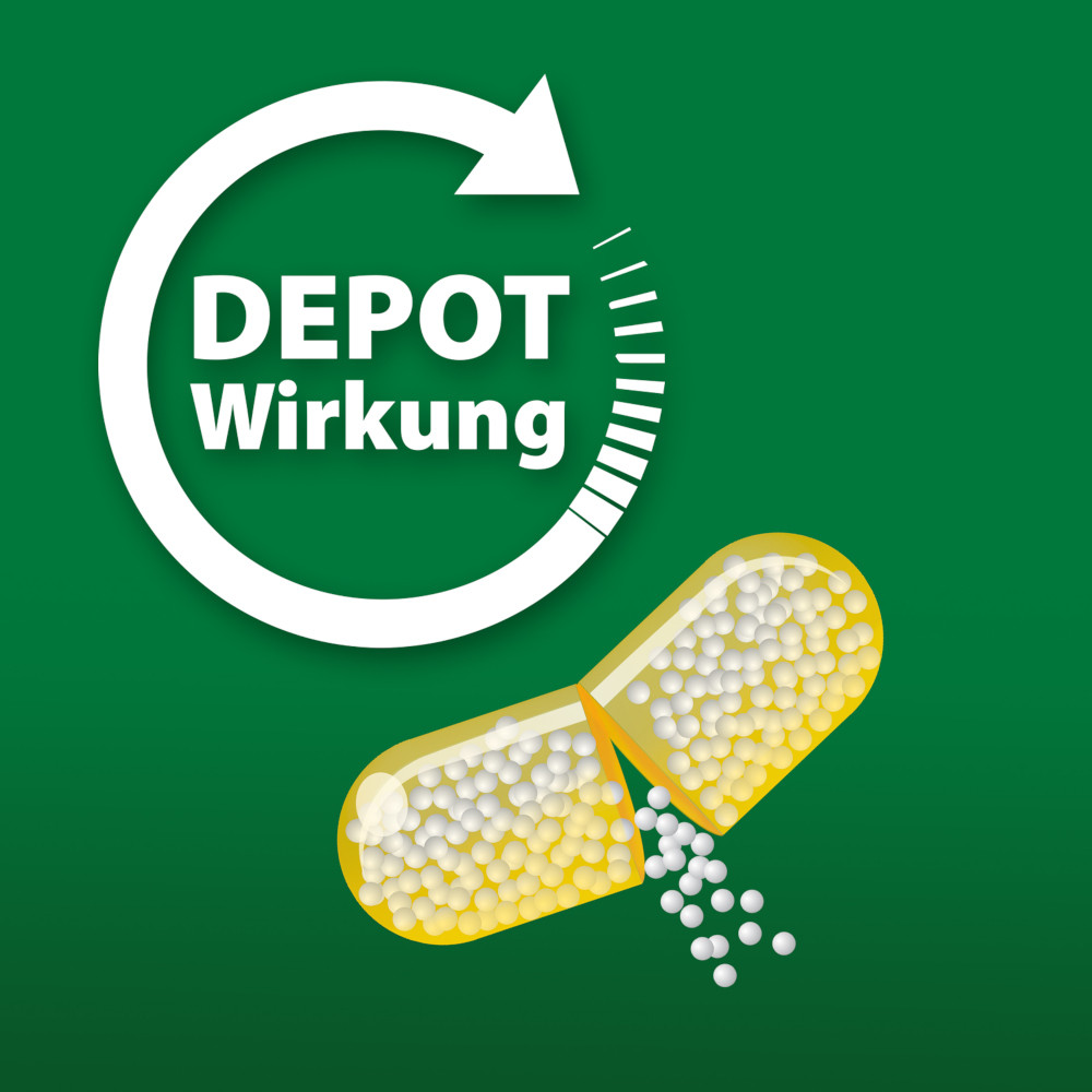 VITAMIN C 300 Depot+Zink+Histidin+D Kapseln 60 St Kapseln