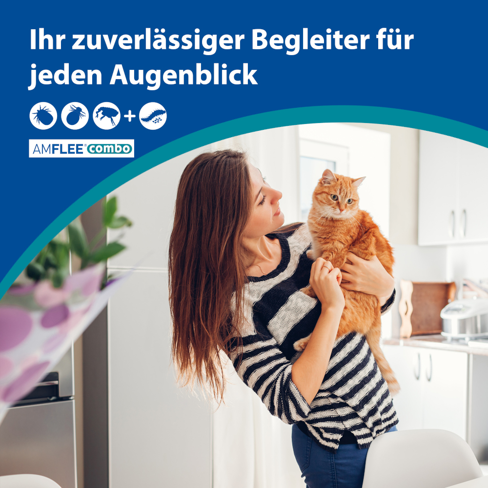 AMFLEE combo Katze 3 St Lösung