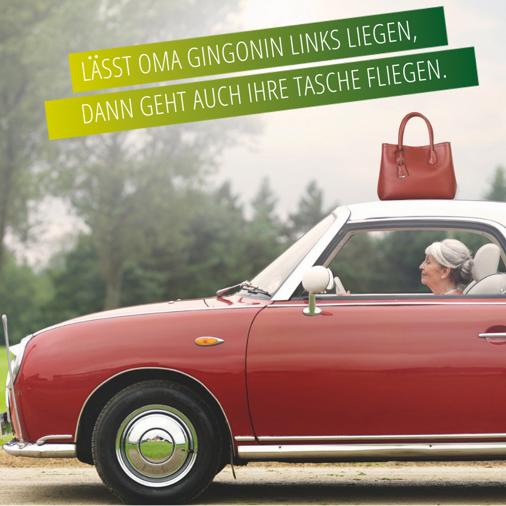 Gingonin 120mg 120 St Hartkapseln