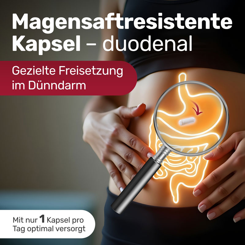 Glycowohl  protect Eisen-Komplex duodenal 40 mg 90 St Kapseln