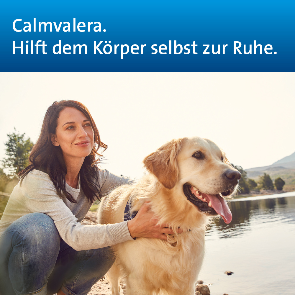 CALMVALERA TROPFEN HEVERT - Bei nervöser Unruhe und Schlafstörungen 200 ml Tropfen