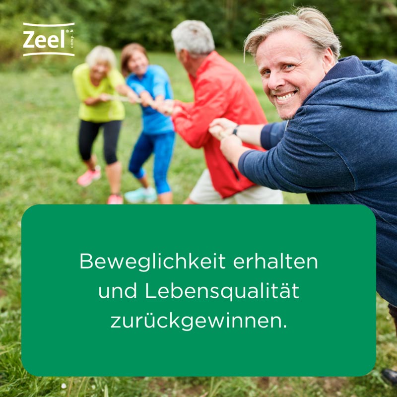 Zeel comp. N  100 St Tabletten