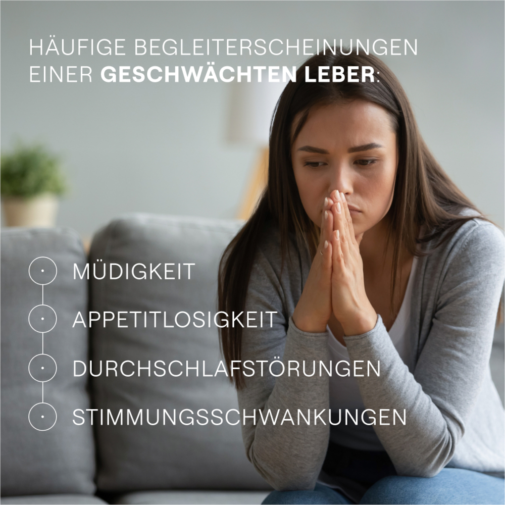 WELEDA HEPATODORON  200 St Tabletten