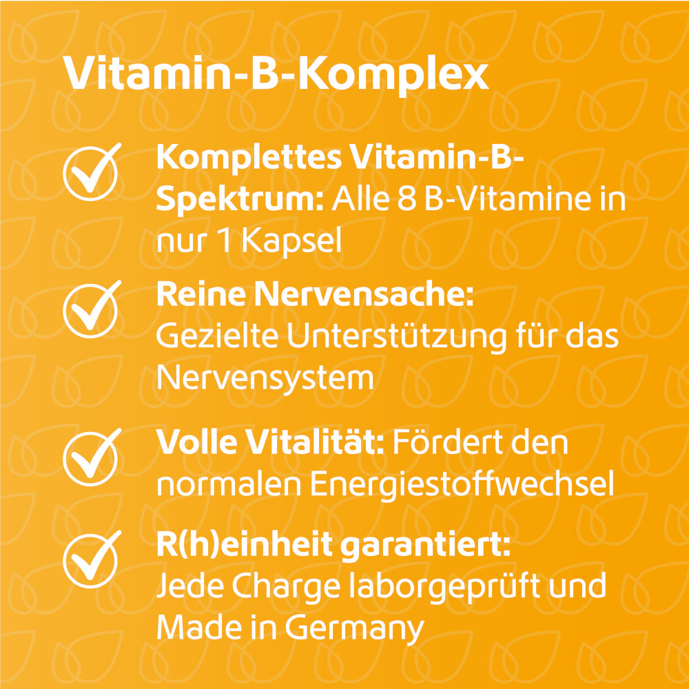 R(h)ein Nutrition Vitamin B-Komplex  120 St Kapseln