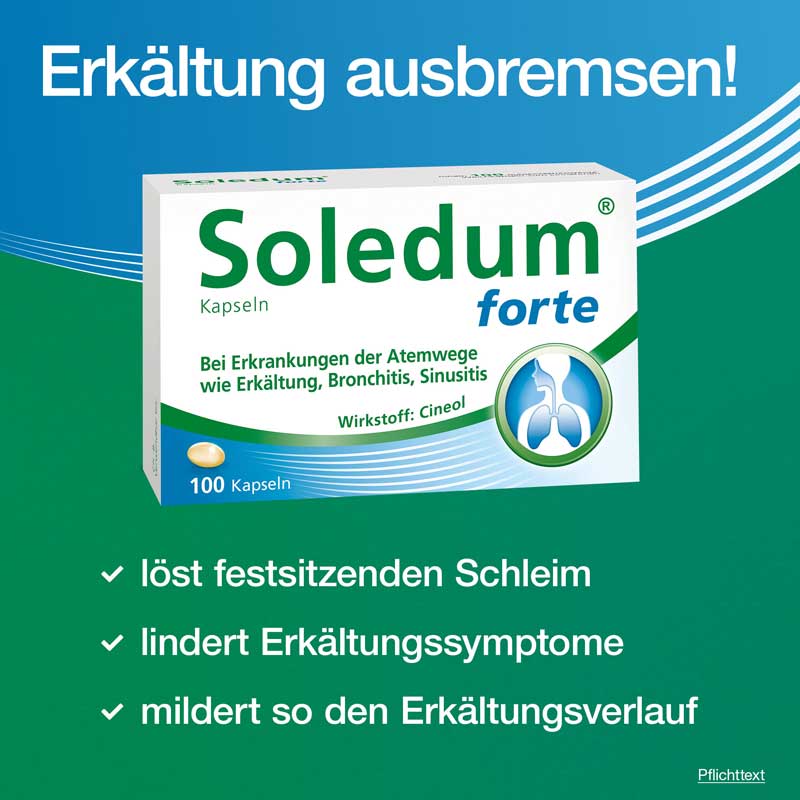 Soledum forte 100 St Kapseln magensaftresistent