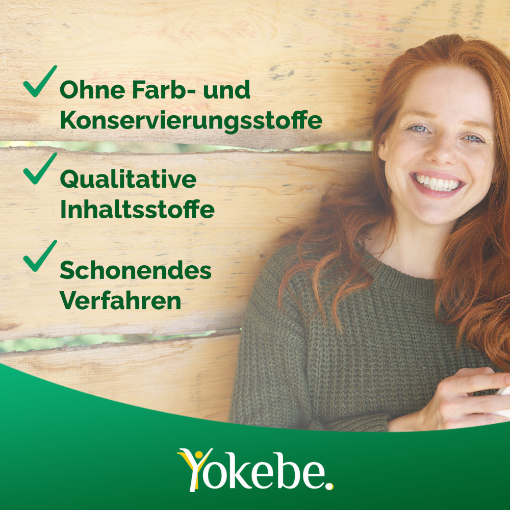 yokebe Vanille laktosefrei 500 g Pulver
