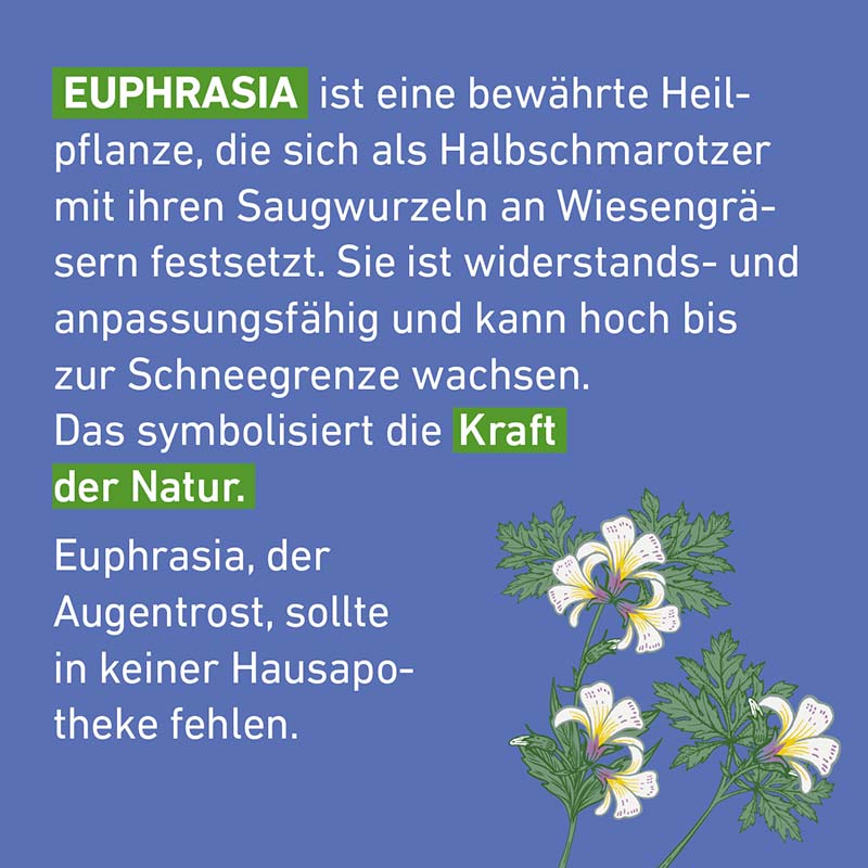 Euphrasia D6 Globuli Pflüger 10 g Globuli