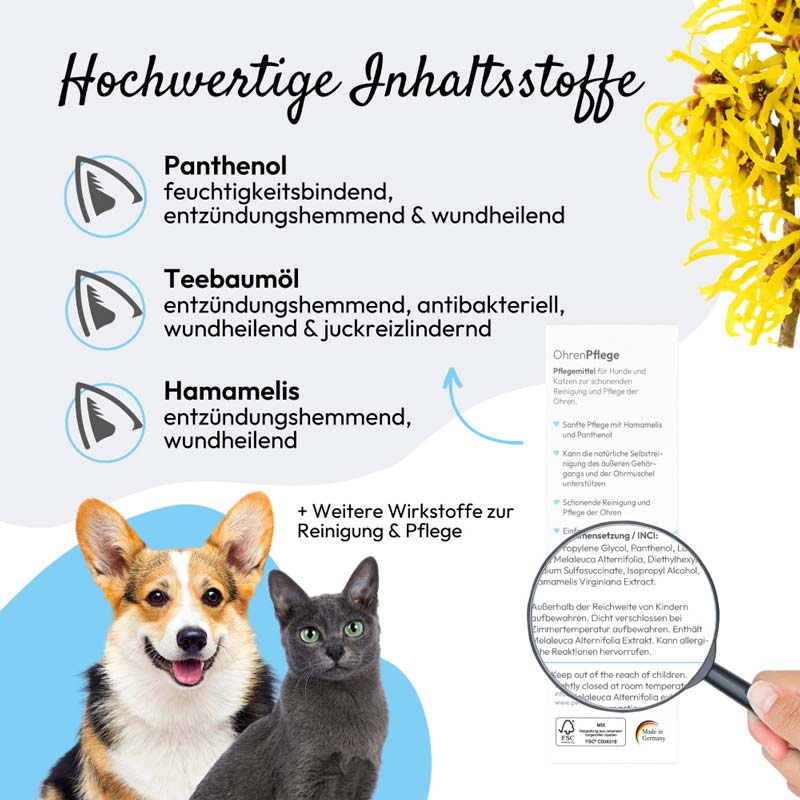 PHA OhrenPflege Tropfen für Hunde 100 ml Tropfen