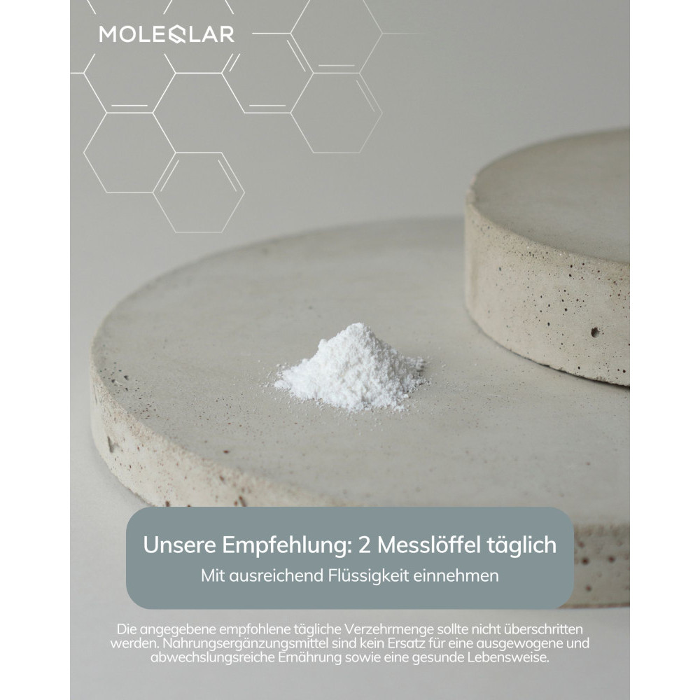 MOLEQLAR LONGEVITY Magtein 120 g Pulver