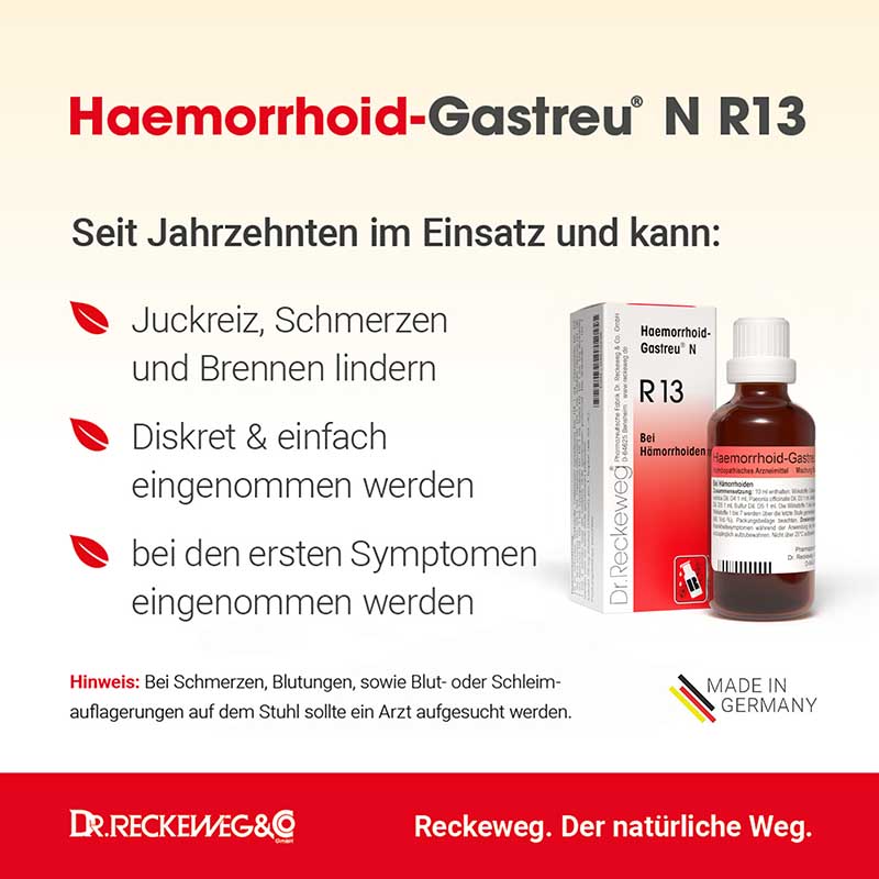 HAEMORRHOID Gastreu N R13 Tropfen zum Einnehmen 22 ml Mischung