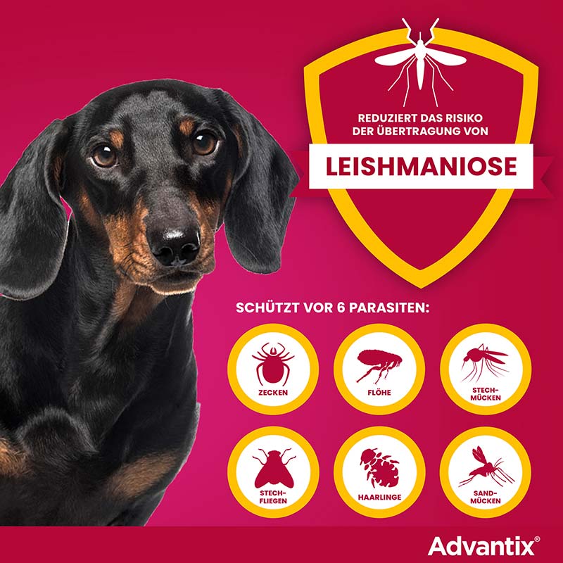 ADVANTIX SPOT-ON HUND 4-10KG 4 St Lösung