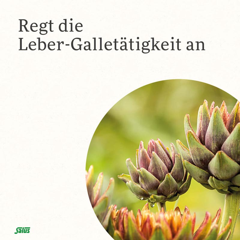 Gallexier Kräuterbitter Elixier 3X20 ml Flüssigkeit zum Einnehmen
