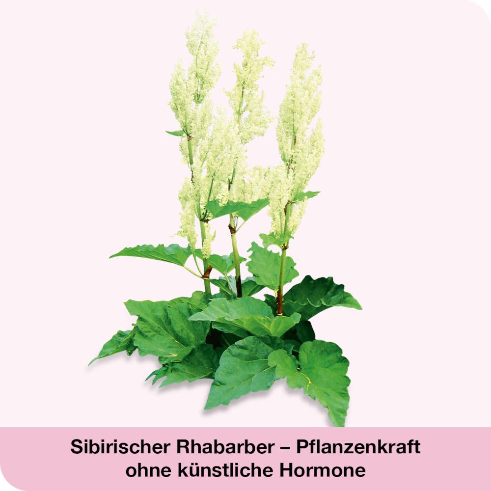 Wechseljahresbeschwerden Set  1 Sparset