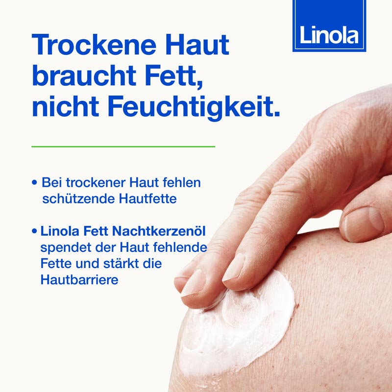 Linola Fett Nachtkerzenöl 100 g Creme