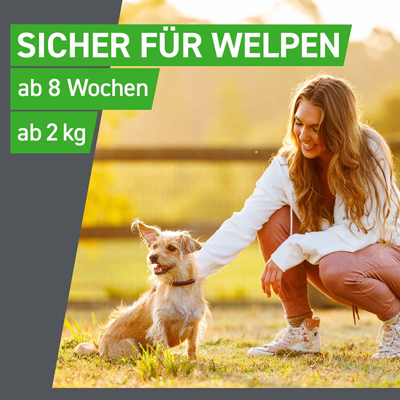 FRONTLINE COMBO gegen Zecken, Flöhe (Flöhe, Eier, Larven, Puppen) für Hunde S (5-10 Kg) 3 St Lösung
