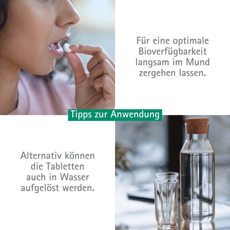 Schüßler-Salz Nr. 9 Natrium phosphoricum D6 4000 St Tabletten