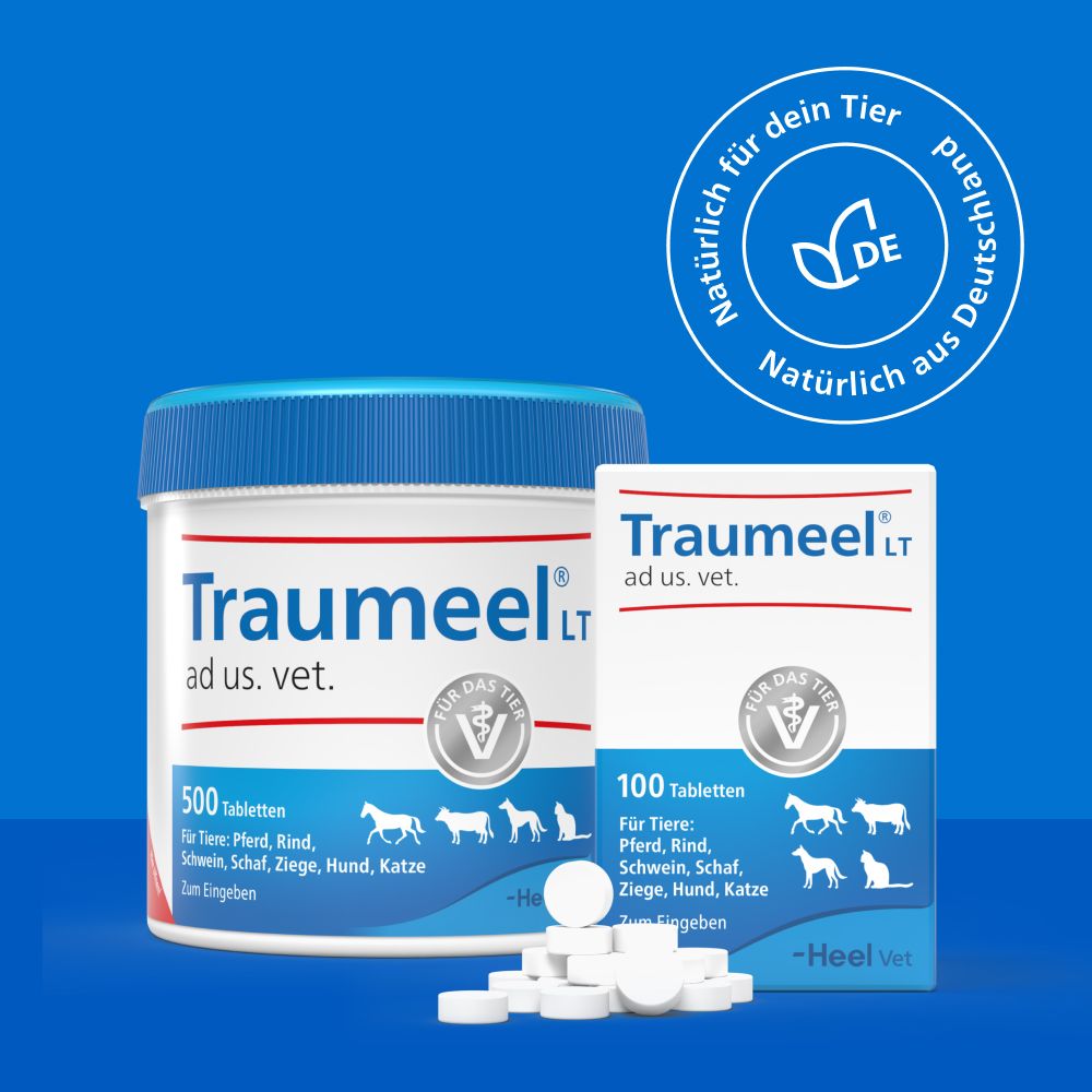 Traumeel LT ad us. vet. 250 St Tabletten