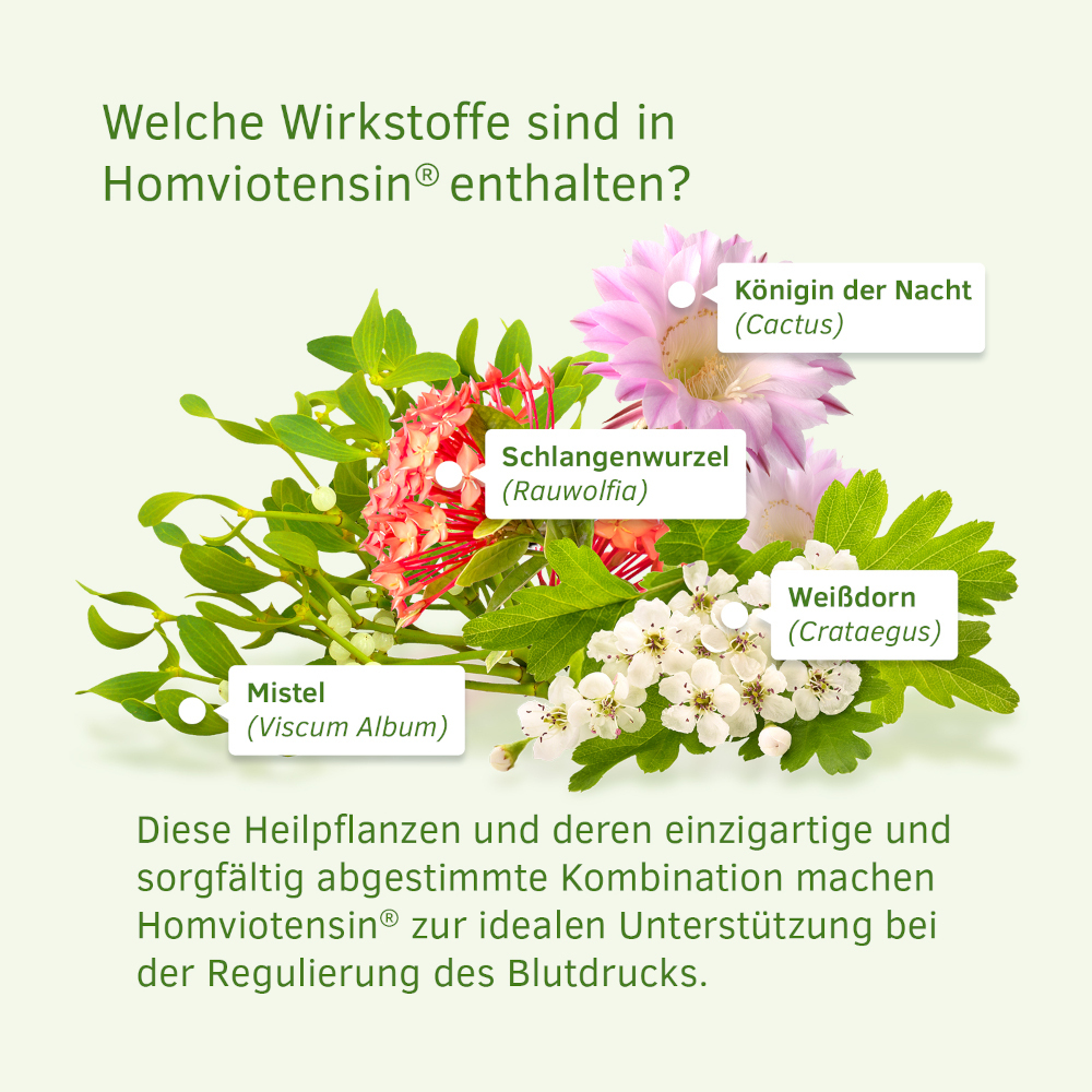 Homviotensin 50 ml Tropfen zum Einnehmen