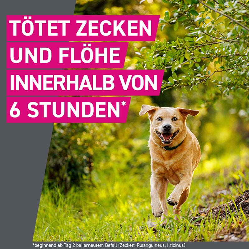 FRONTLINE TRI-ACT gegen Zecken, Flöhe und fliegende Insekten für Hunde XS (2-5 kg)  3 St Lösung