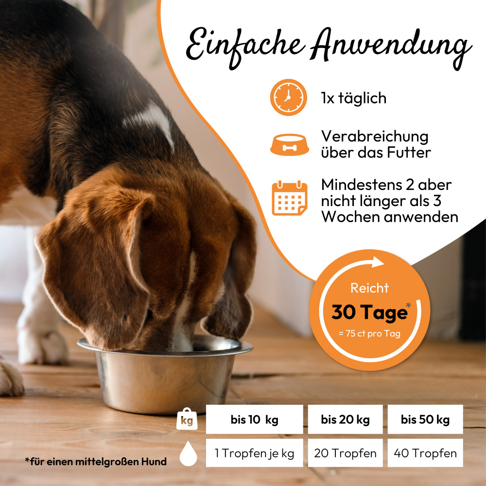 PHA Wurm für Hunde und Katzen 50 ml Tropfen