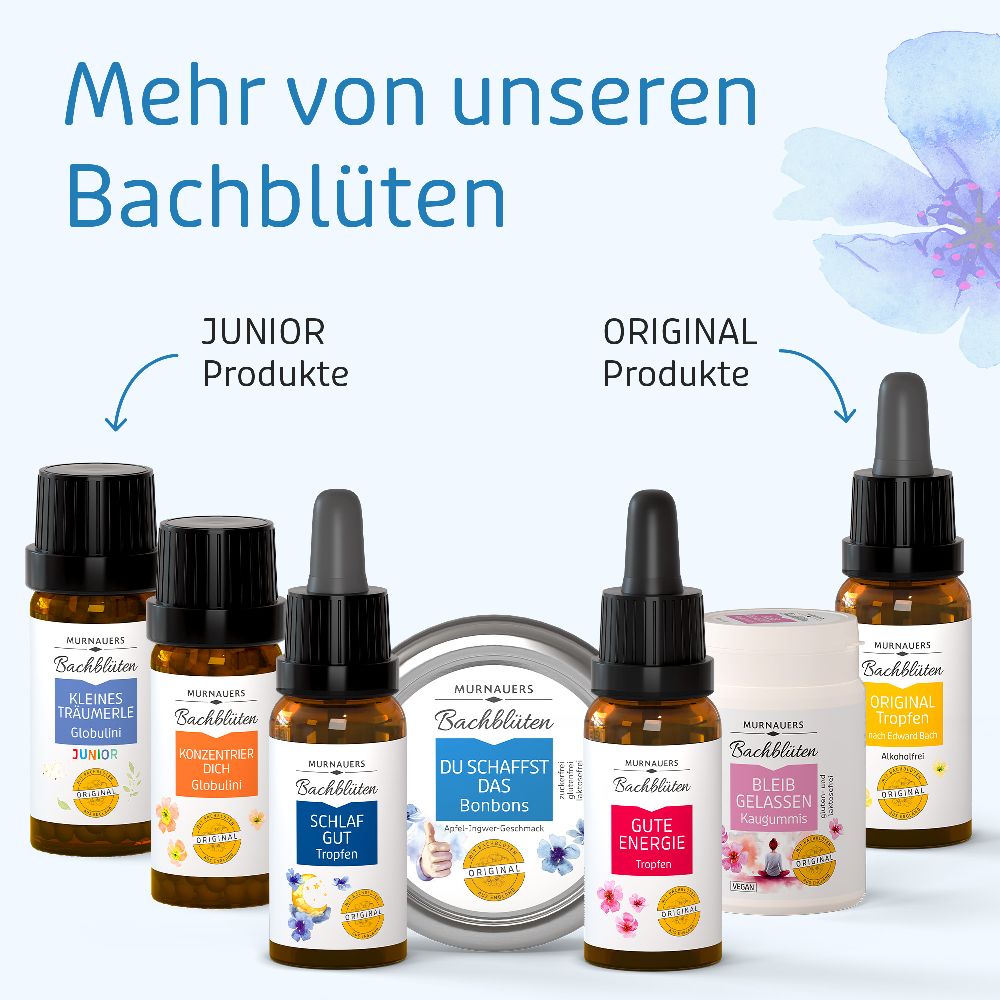 MURNAUERS Bachblüten Du schaffst das Bonbons 50 g Bonbons