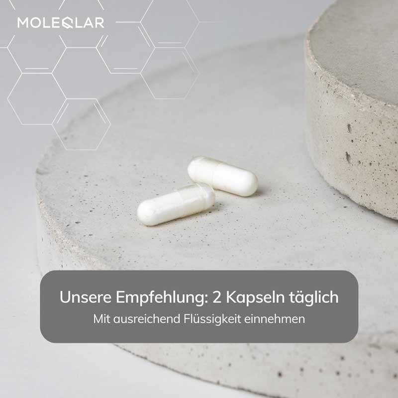 MOLEQLAR QNESIUM MAGNESIUM COMPLEX 120 St Kapseln