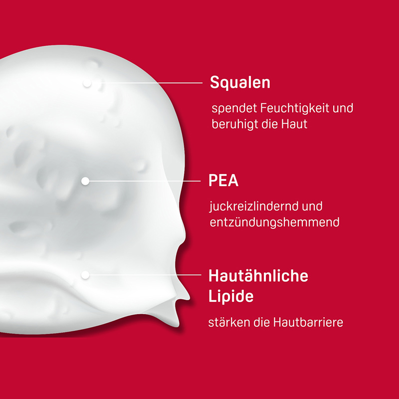 PHYSIOGEL Calming Relief A.I. Lipidbalsam irritierte Haut  150 ml Creme