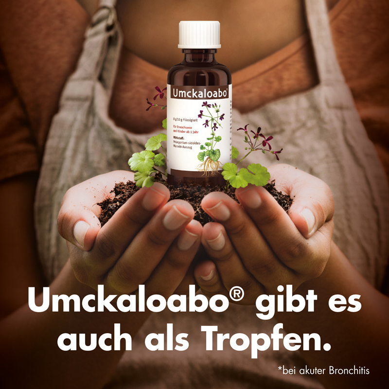 Umckaloabo 20 mg 60 St Filmtabletten