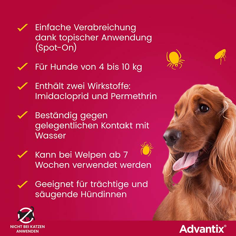 ADVANTIX SPOT-ON HUND 4-10KG 4 St Lösung