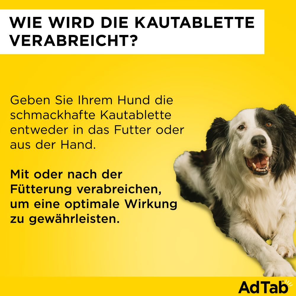 ADTAB 56MG HUND 1.3-2.5KG 3 St Kautabletten