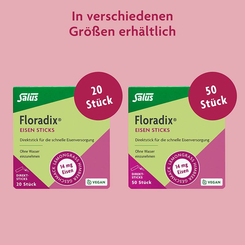 Floradix EISEN STICKS Salus 20 St Pulver