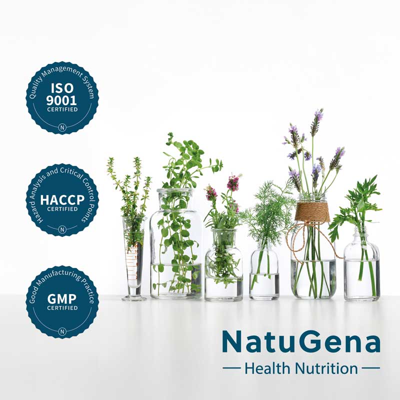 NatuGena MSM 4000 150 St Kapseln