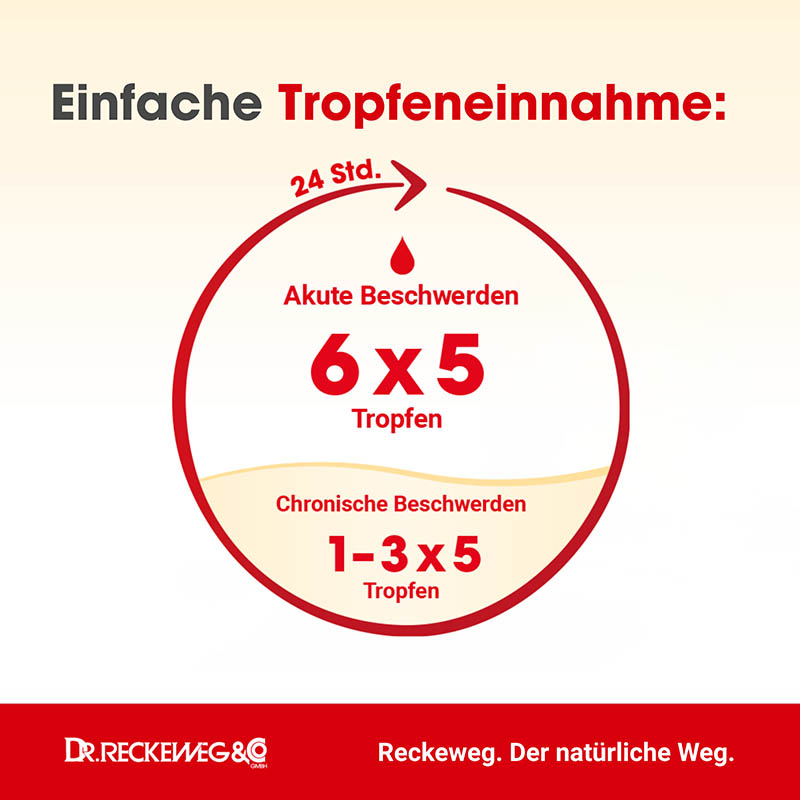 HYPOTONIE GASTREU R 44 Tropfen zum Einnehmen 50 ml Mischung