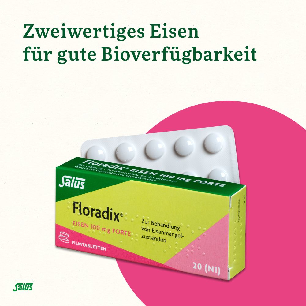Floradix Eisen 100mg forte 20 St Filmtabletten