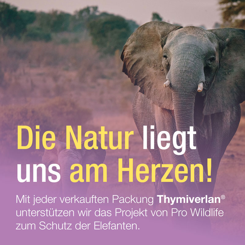 Thymiverlan Flüssigkeit Zum Einnehmen 50 ml Flüssigkeit zum Einnehmen