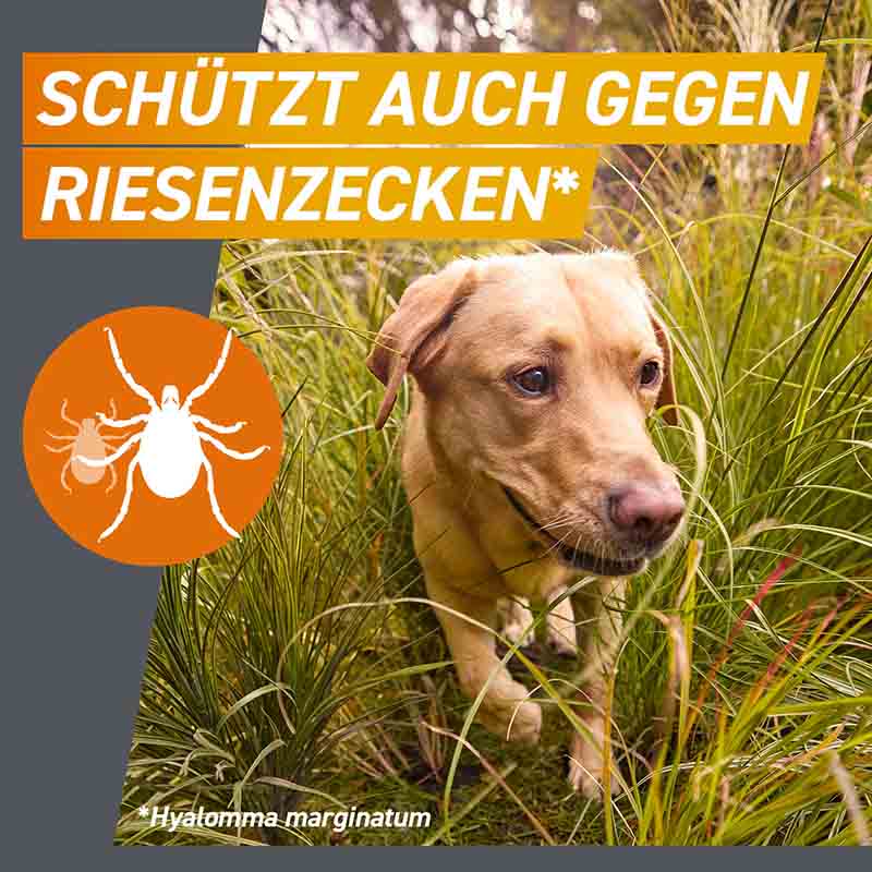 FRONTPRO - gegen Zecken und Flöhe für Hunde (>25-50kg) 3 St Kautabletten