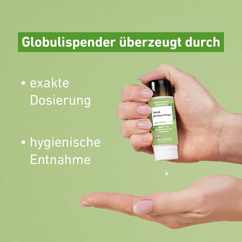 Thuja D6 Globuli Pflüger 10 g Globuli