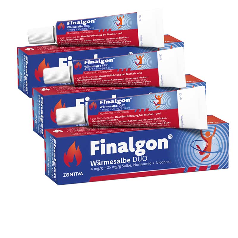 Finalgon Wärmesalbe DUO 3er Set 3X20 g Salbe