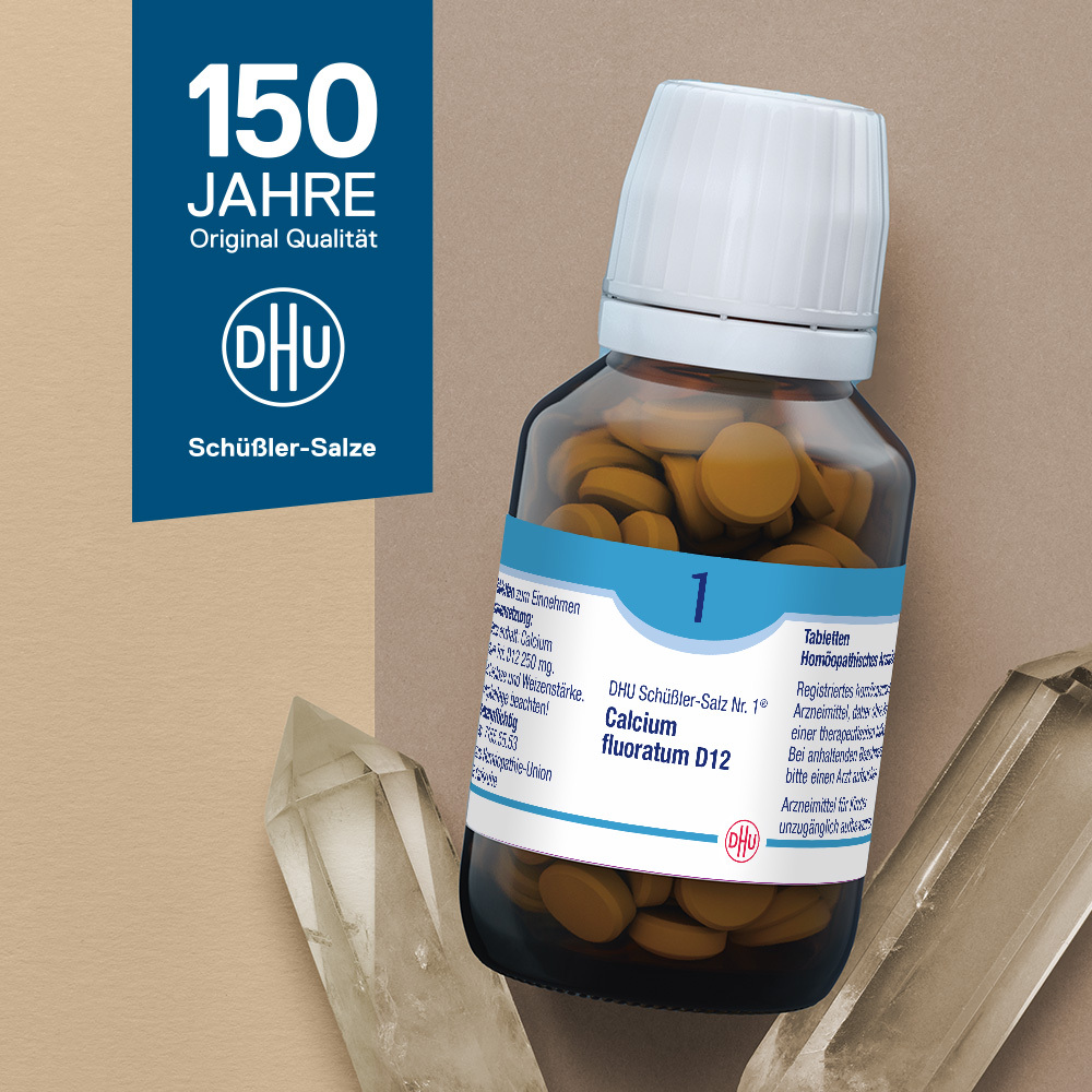 DHU Schüßler-Salz Nr. 1 Calcium fluoratum D12  			 420 St Tabletten