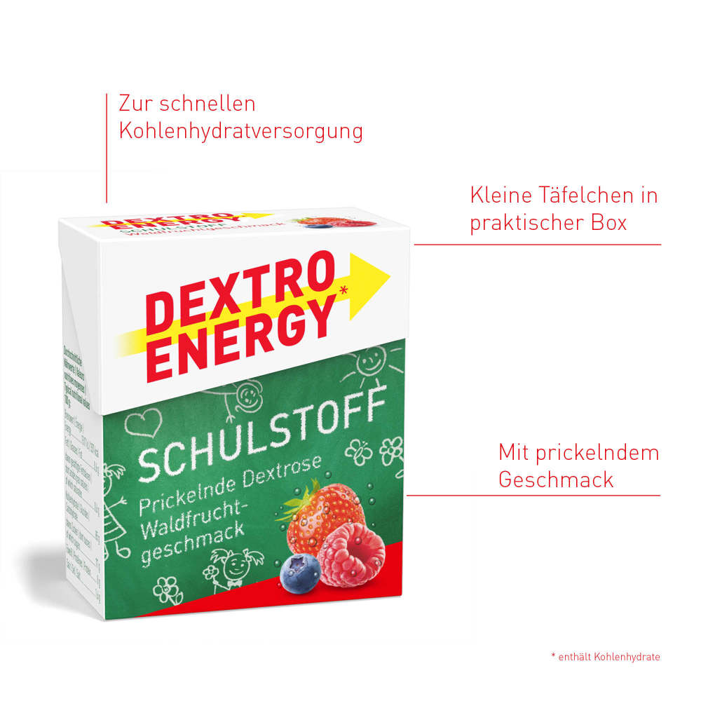 DEXTRO ENERGY SCHULSTOFF WALDFRUCHT 50 g Täfelchen