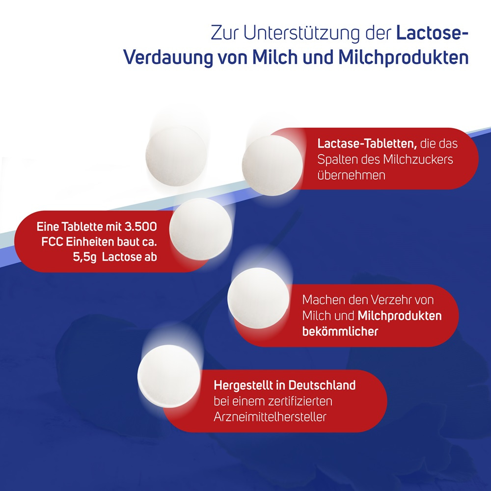 Avitale Lactase 3500 FCC 100 St Tabletten