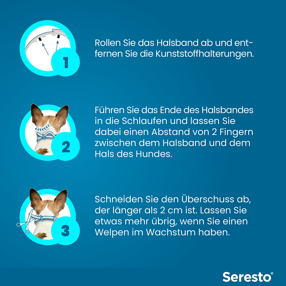 SERESTO 1.25+0.56 HUND BIS 8KG 1 St Halsband