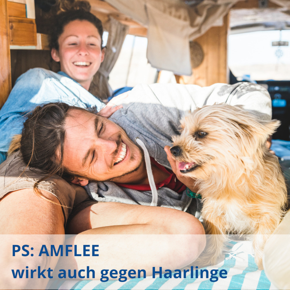 Amflee 134mg Lösung zum Auftropfen für mittelgroße Hunde 3 St Lösung