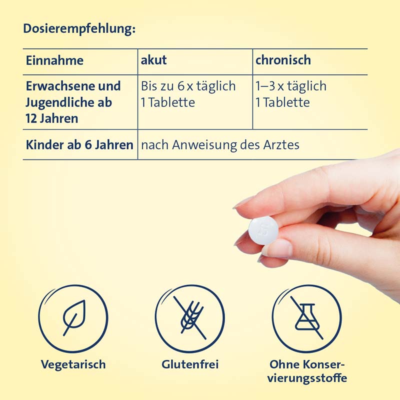 VERTIGO HEVERT SL Bei Schwindel 260 St Tabletten