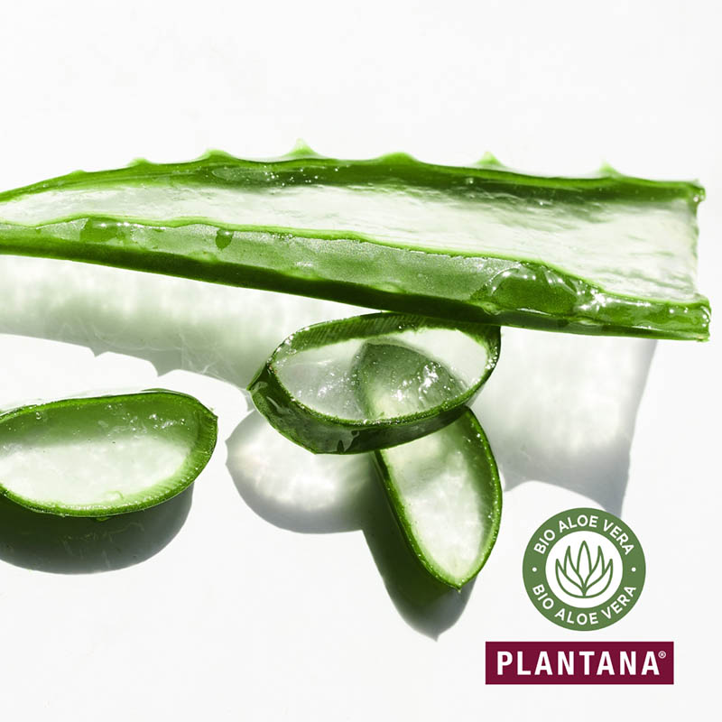 PLANTANA Gesichtscreme Aloe Vera 50 ml Creme