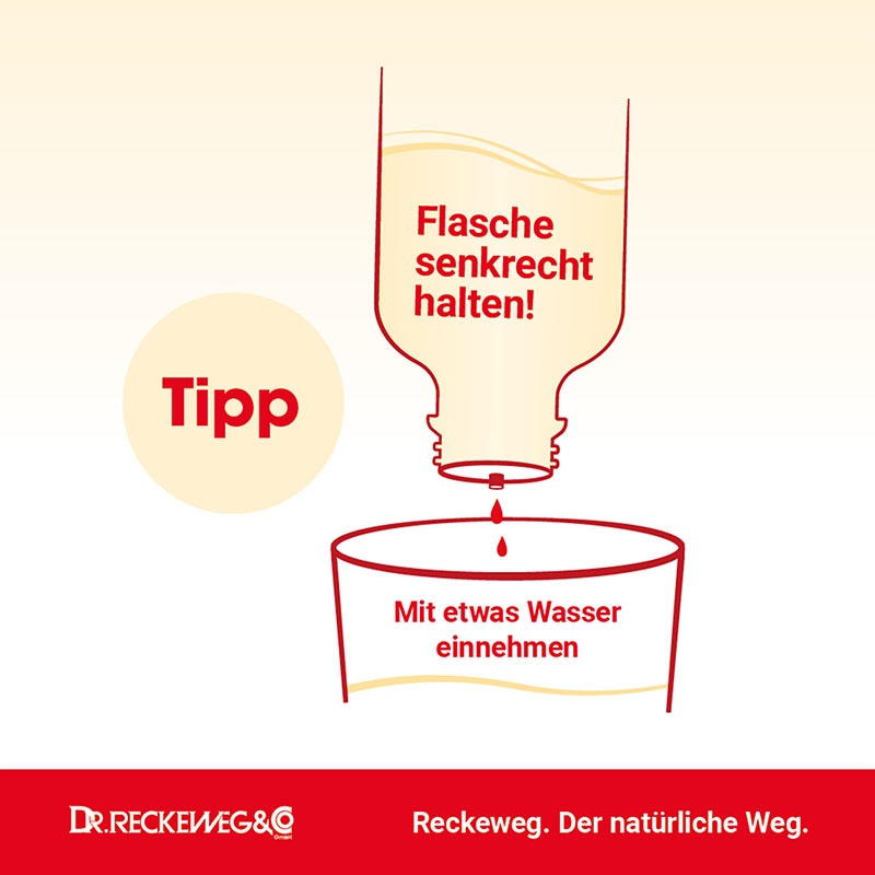 HAEMORRHOID Gastreu N R13 Tropfen zum Einnehmen 22 ml Mischung