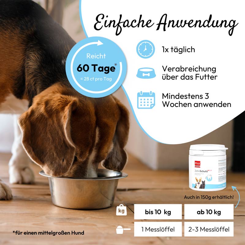 PHA ZahnSchutz PLUS Pulver für Hunde und Katzen 60 g Pulver